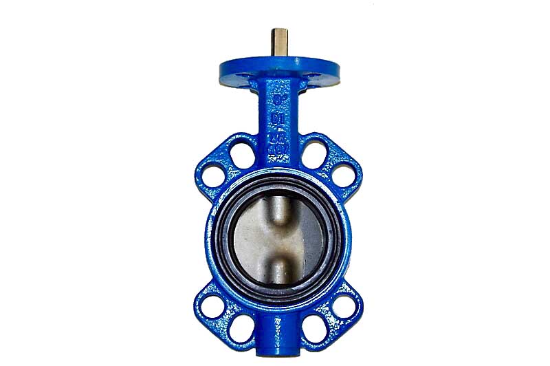 DI NP Disc Buna Seat Size 10 Lug Butterfly Valve